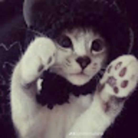mimidoll_xx
